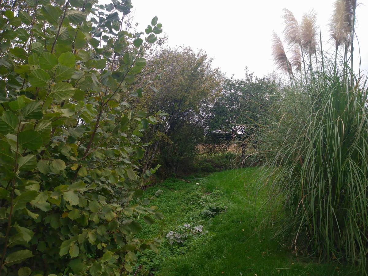 Gîte de La Basse Roche Souge  Extérieur photo